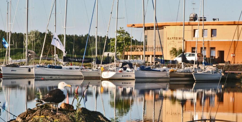 Kapteinu Osta Salacgrīva Exterior foto
